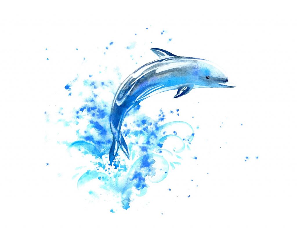 Springende dolfijn