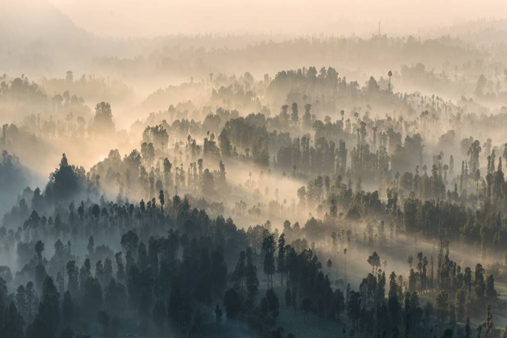 Mistige bergen in Indonesië
