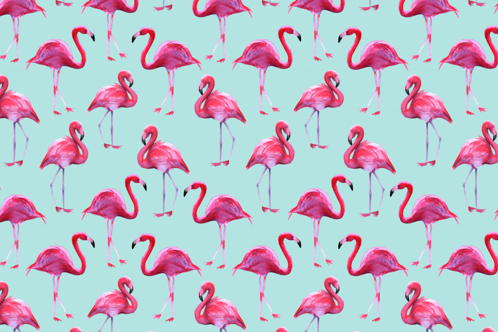 Flamingo print met een blauwe achtergrond