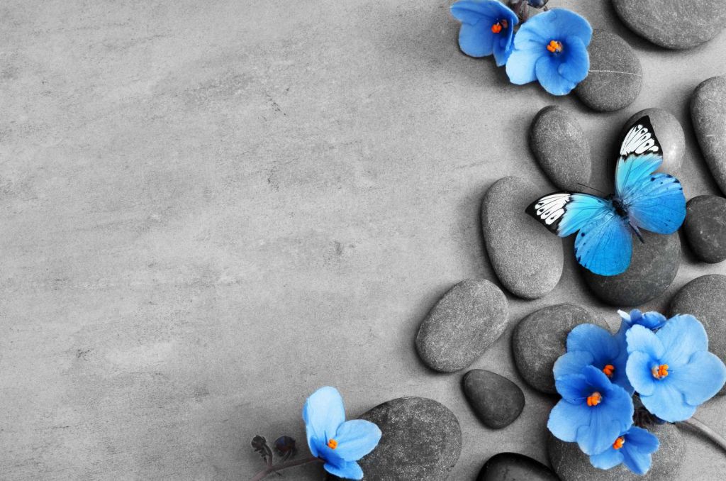 Grijze stenen met een blauwe vlinder en bloemen