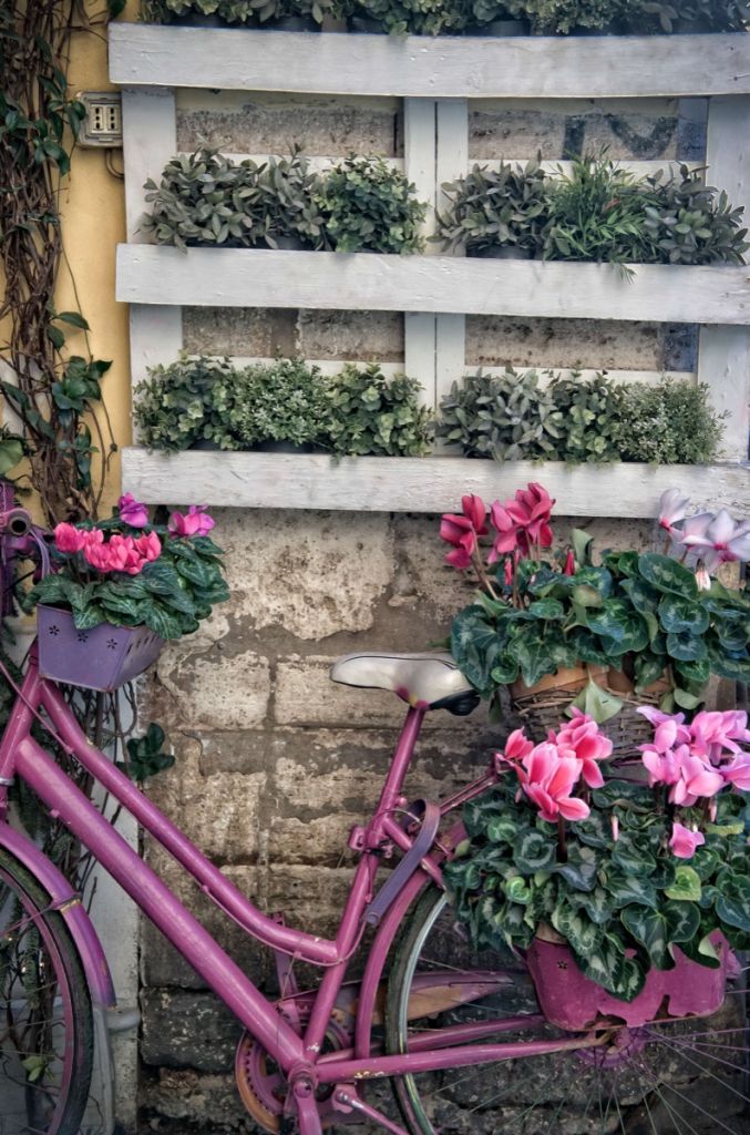 Vintage fiets met bloemen