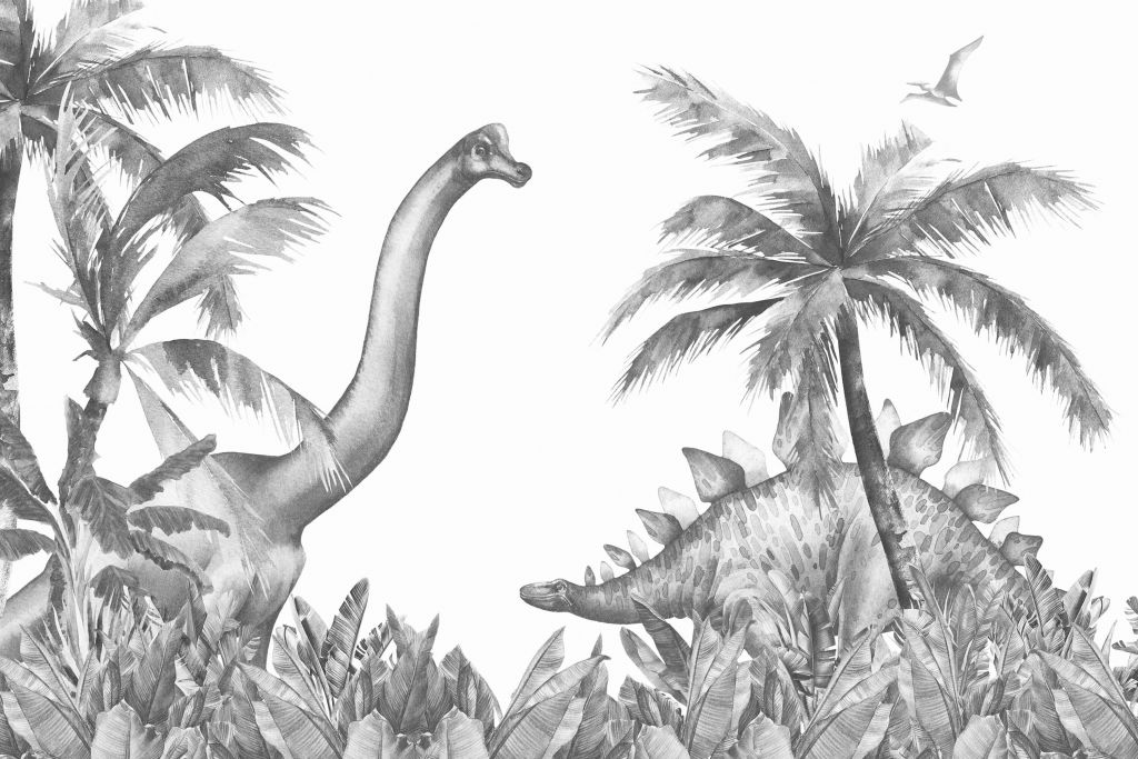 Dinosaurussen in zwart-wit