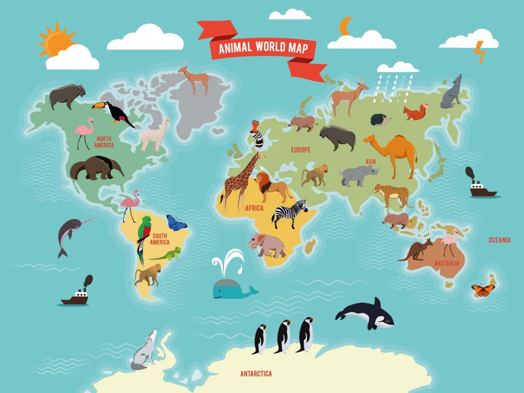 Dieren wereldkaart