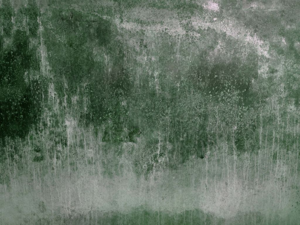 Oude verweerde groene muur