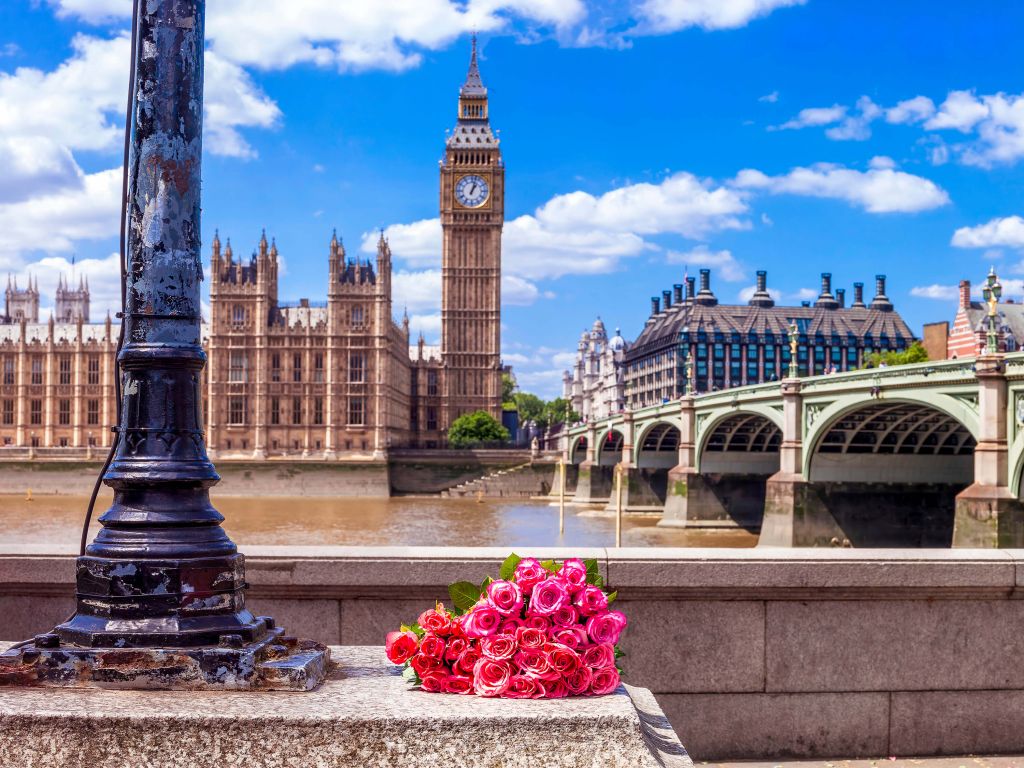 Roze rozen in Londen