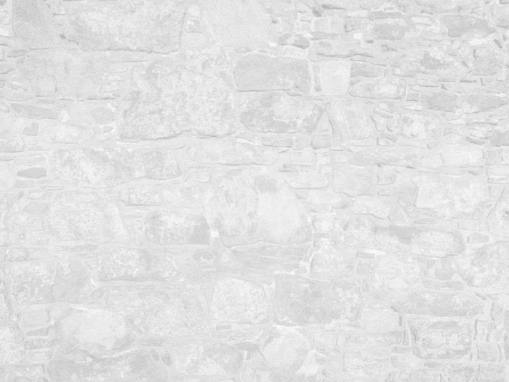 Oude muur met witte stenen
