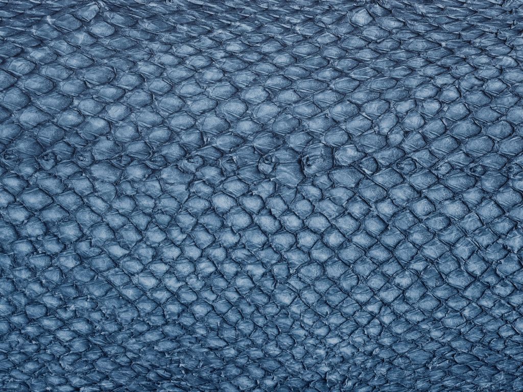 Zalmhuid structuur in blauw