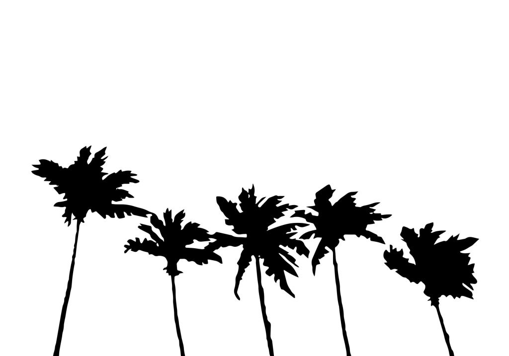 Palms White