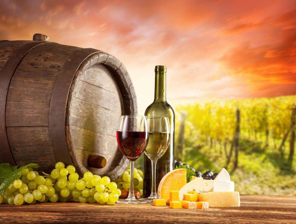 Wijngaard met wijn en kaas op de voorgrond