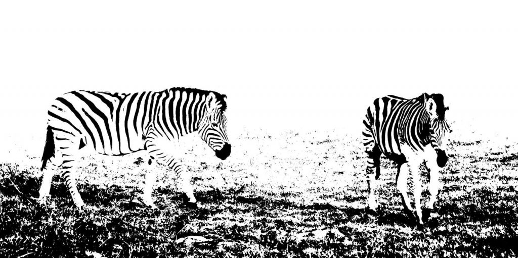 Zebra's in de weide design